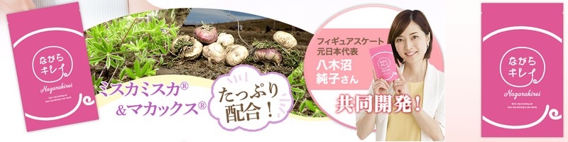 �I�[���C�������T�|�[�g�T�v���́y�Ȃ���L���C�z���T�C�g